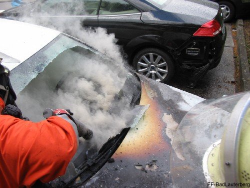 2009_05_16 PKW Brand Revita 014